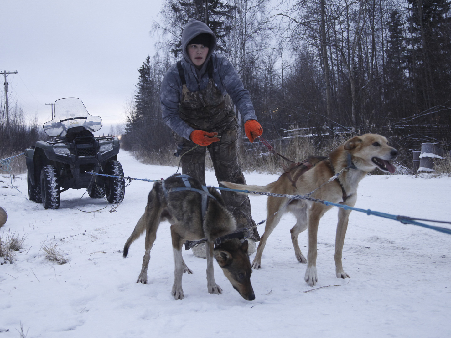Prime Video: Yukon Men - Season 7