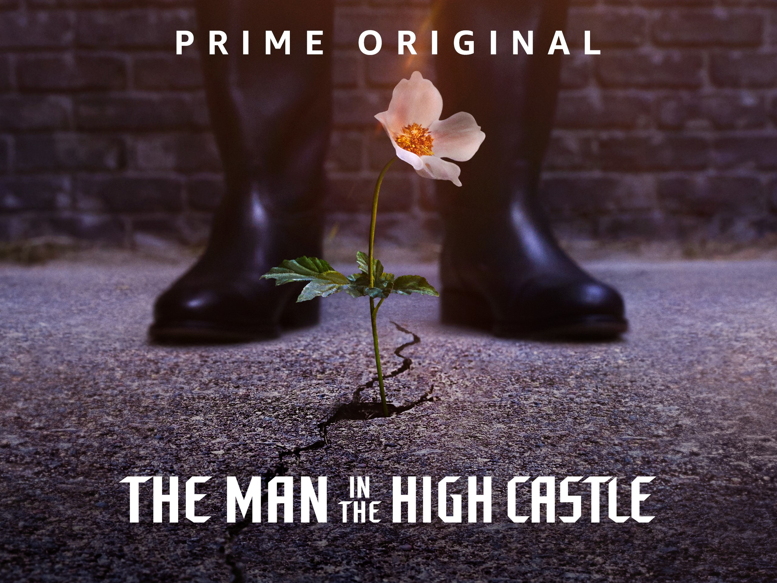 Subtitles for the man in the high castle season 1 episode 1 - hardwarelimfa