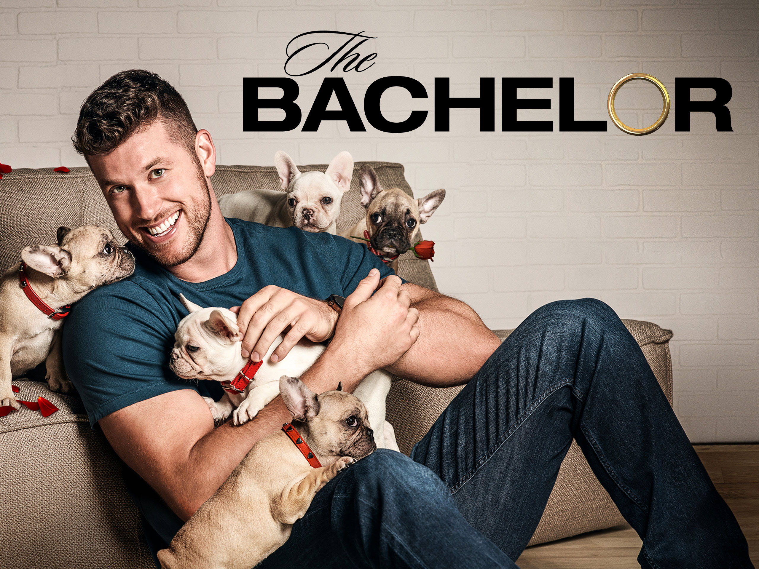 Prime Video The Bachelor Season 26