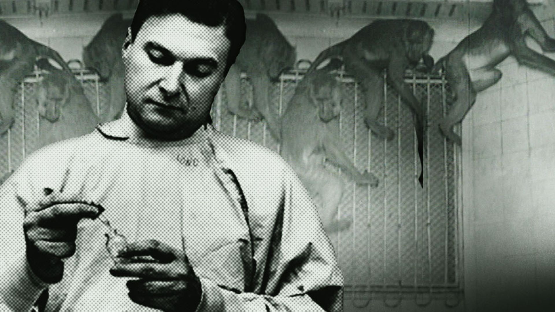 Prime Video: The Origins of AIDS