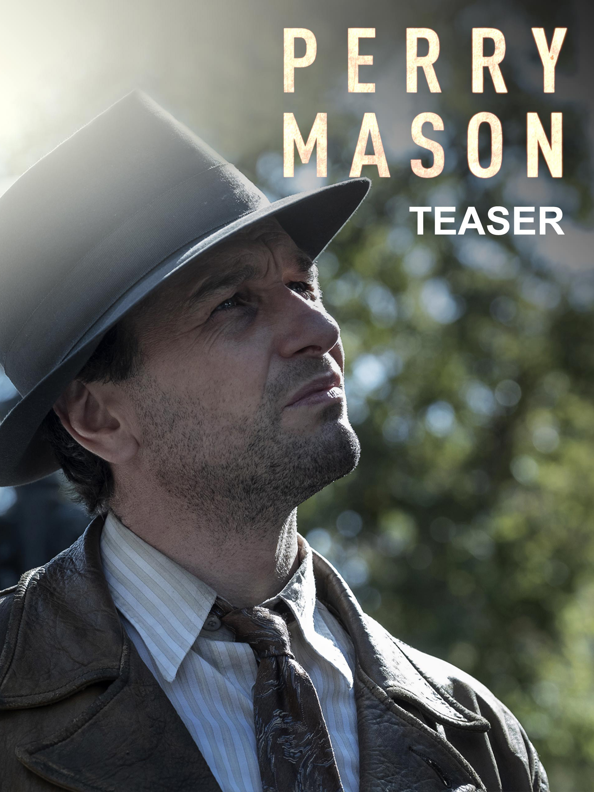 perry mason assistir