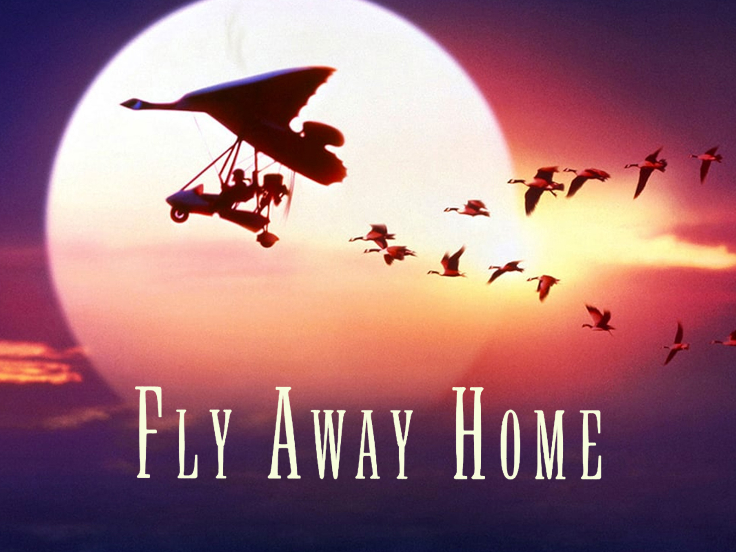 Prime Video Fly Away Home