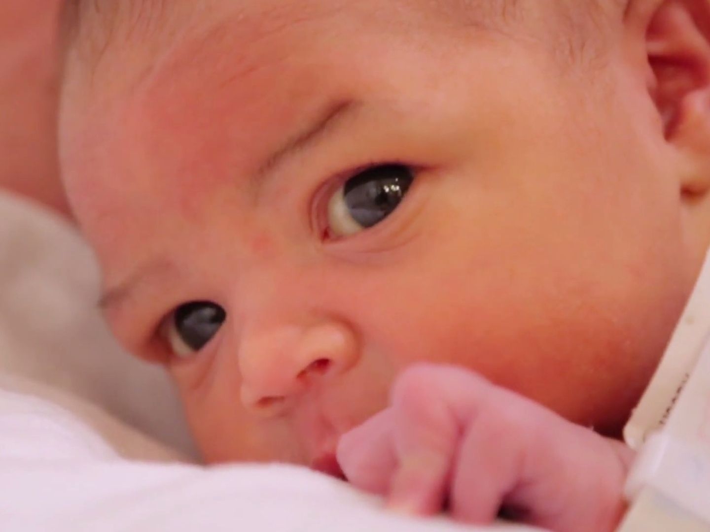 Prime Video Rattled Season 1