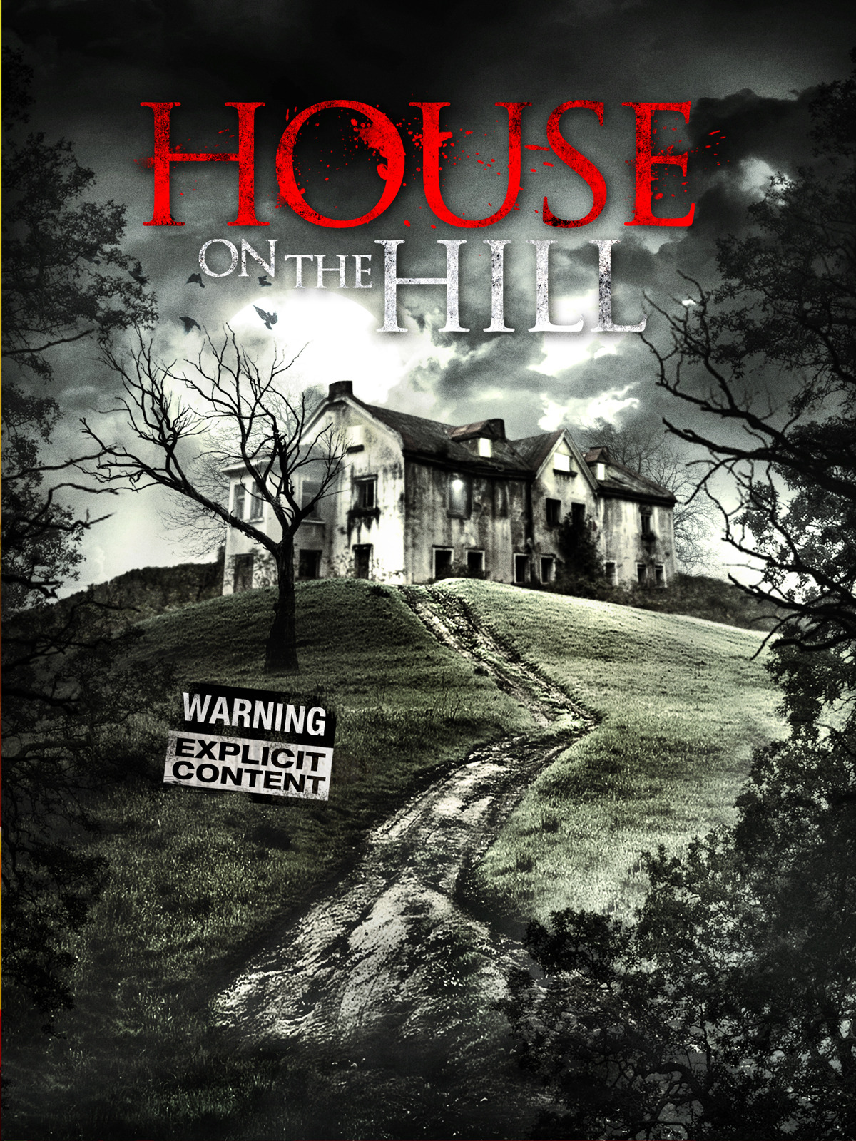 Prime Video House On The Hill