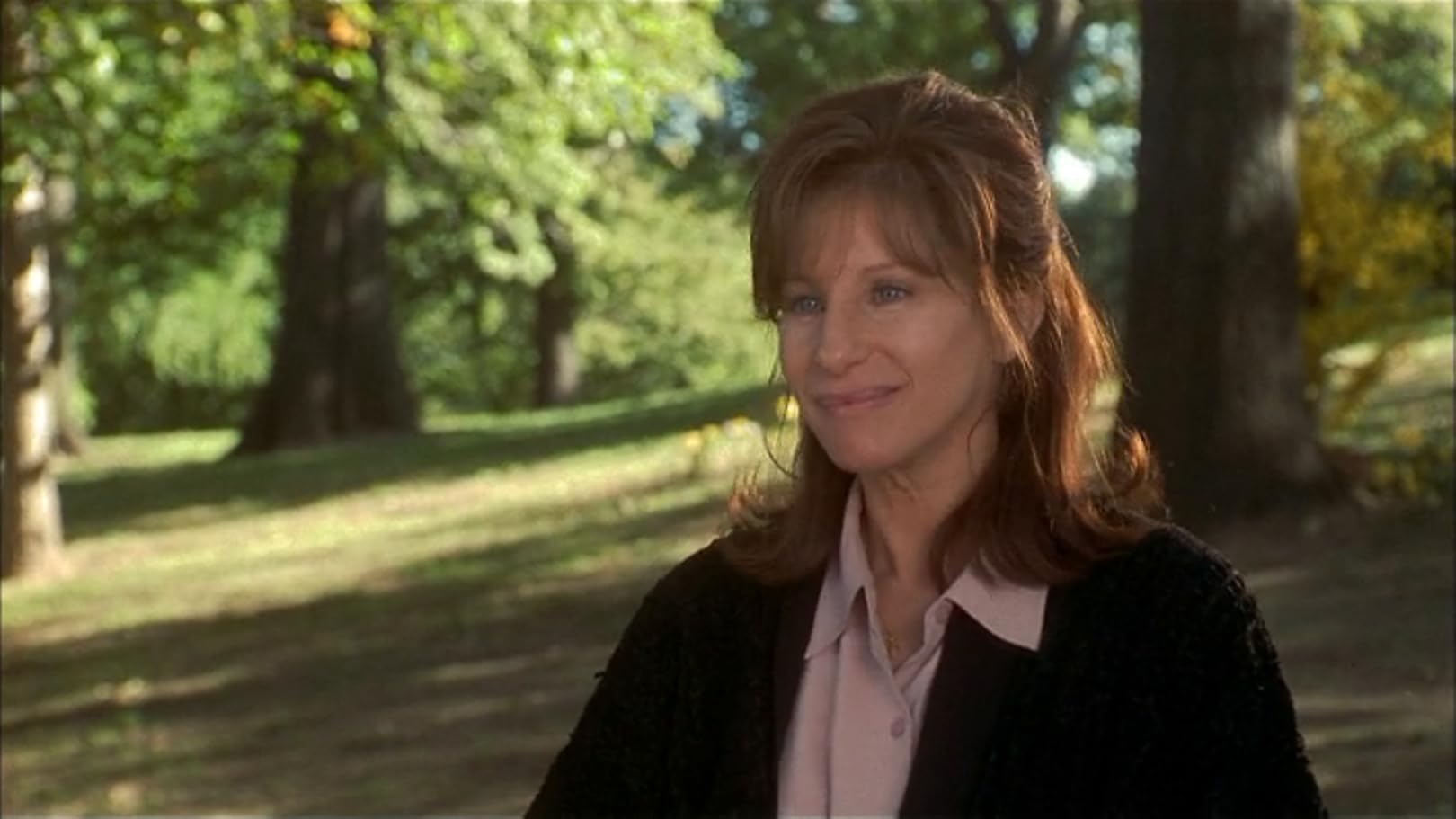 Watch The Mirror Has Two Faces Prime Video