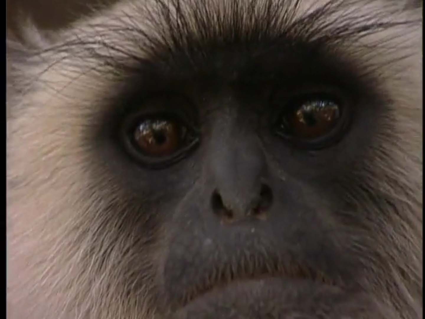 Prime Video The Jeff Corwin Experience Season 2