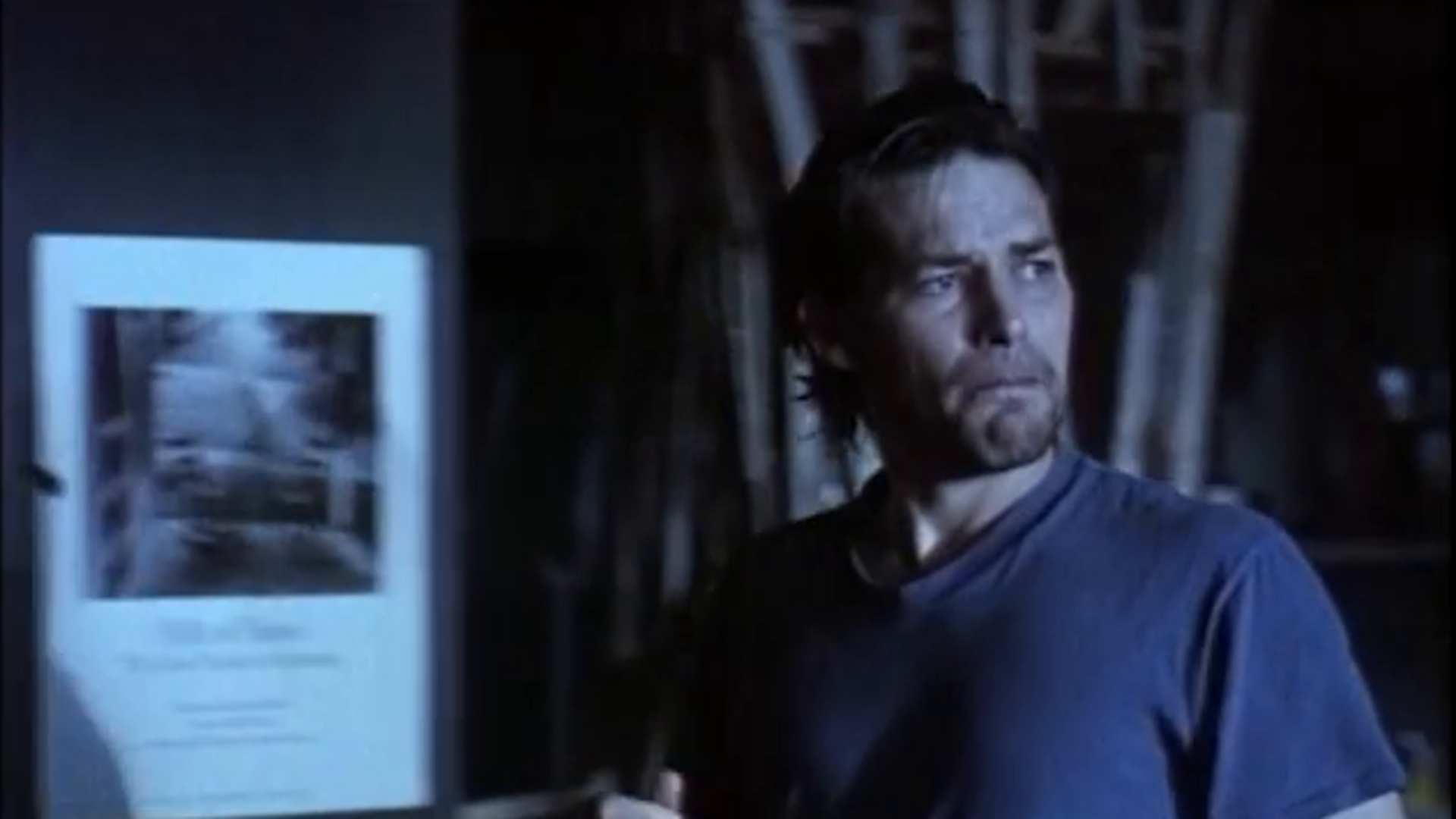 Prime Video I delitti del gatto nero