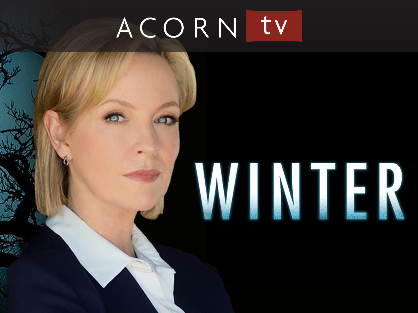 Prime Video Winter The Complete Series