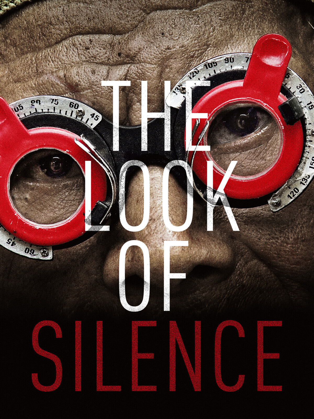 the look of silence documentary