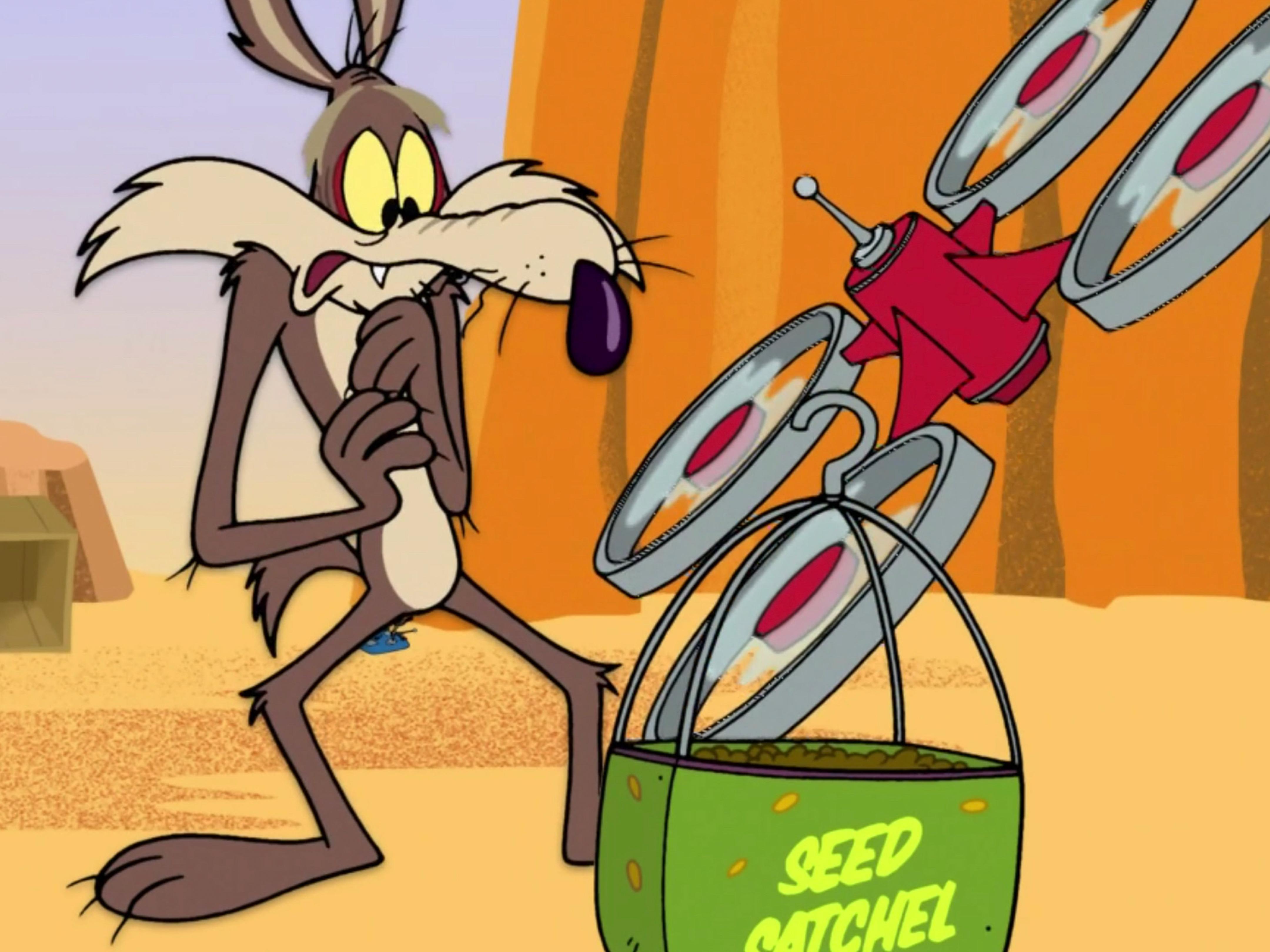 Prime Video New Looney Tunes Season 1