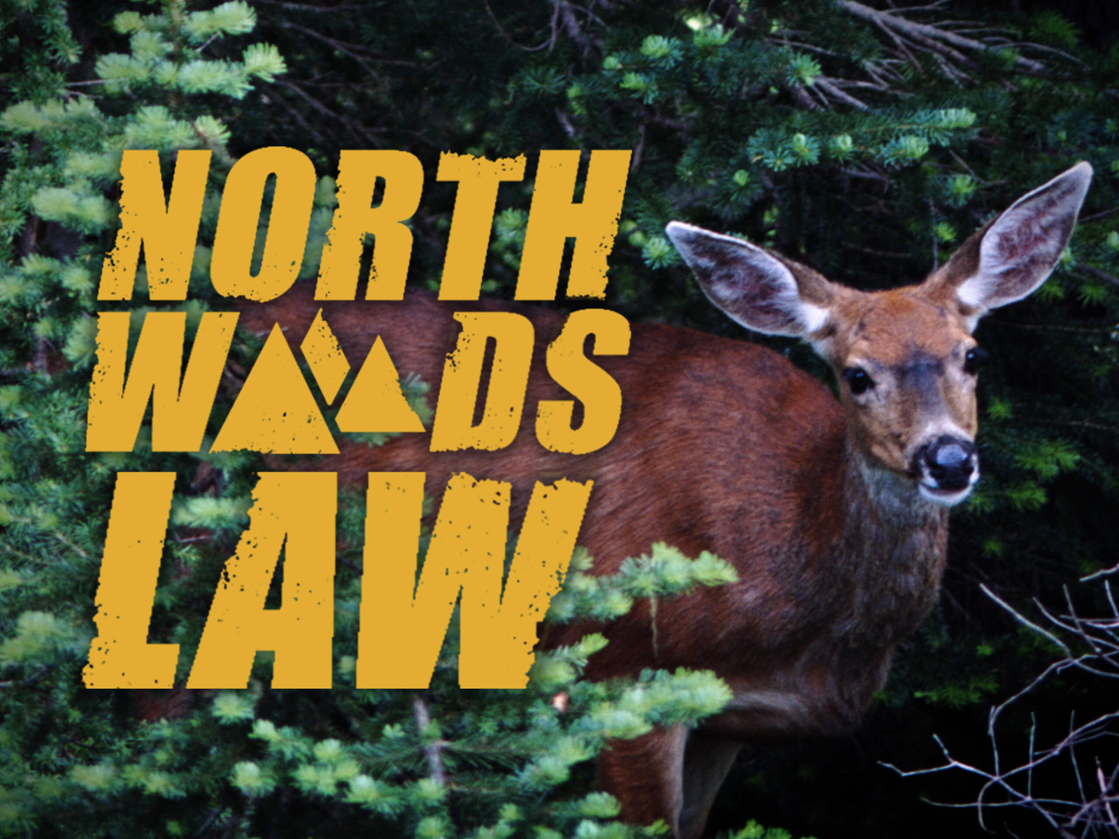 Prime Video North Woods Law Season 7