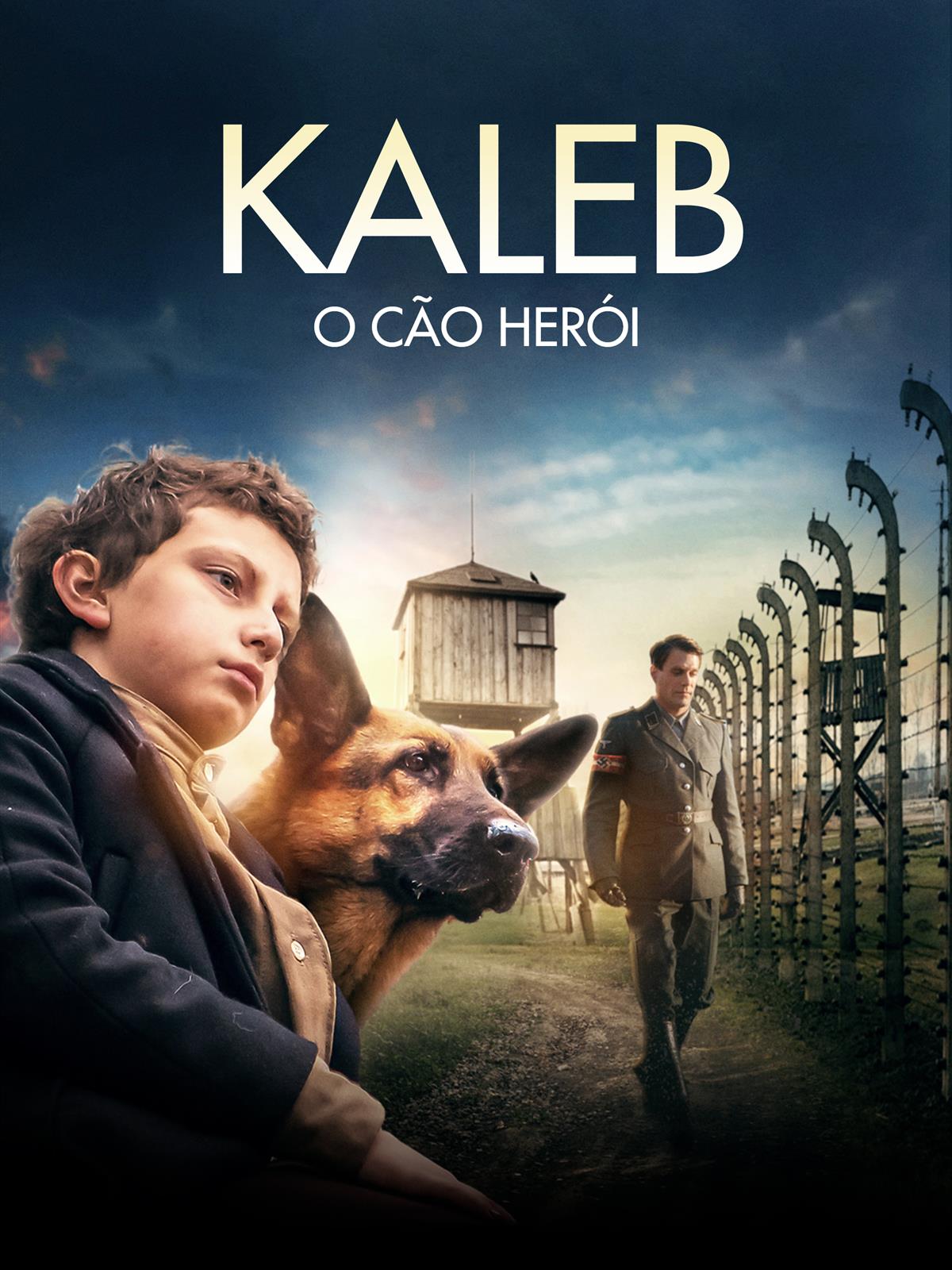 Kaleb Wolf De Melo Torres Age - 05hx0dn