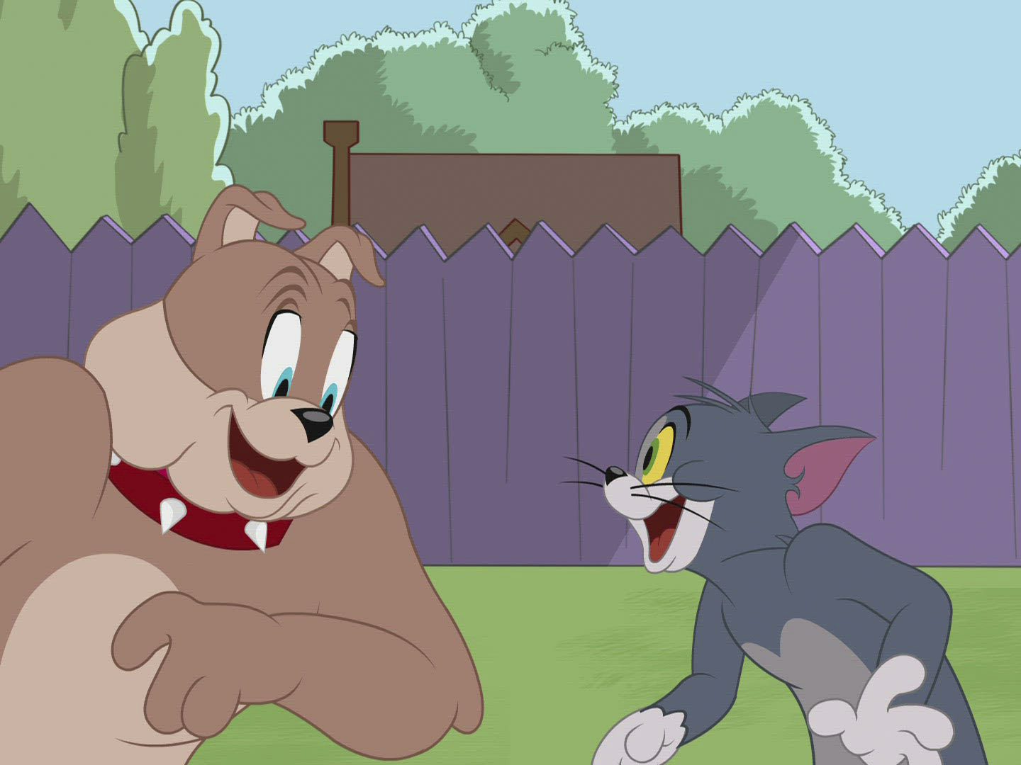 Prime Video: The Tom and Jerry Show - Season 3