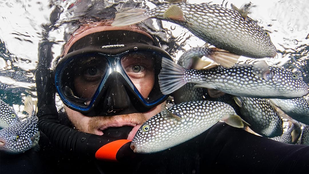 Prime Video: Loading Docs