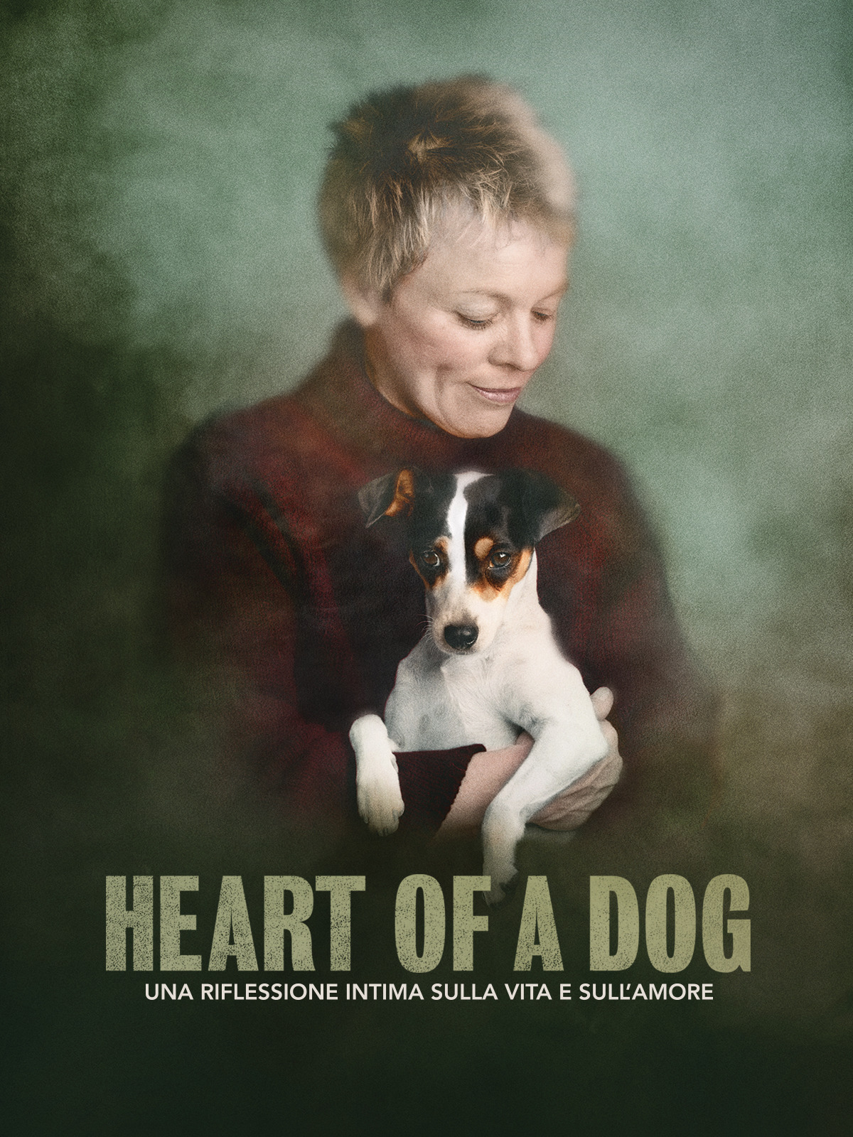 Prime Video Heart of a Dog