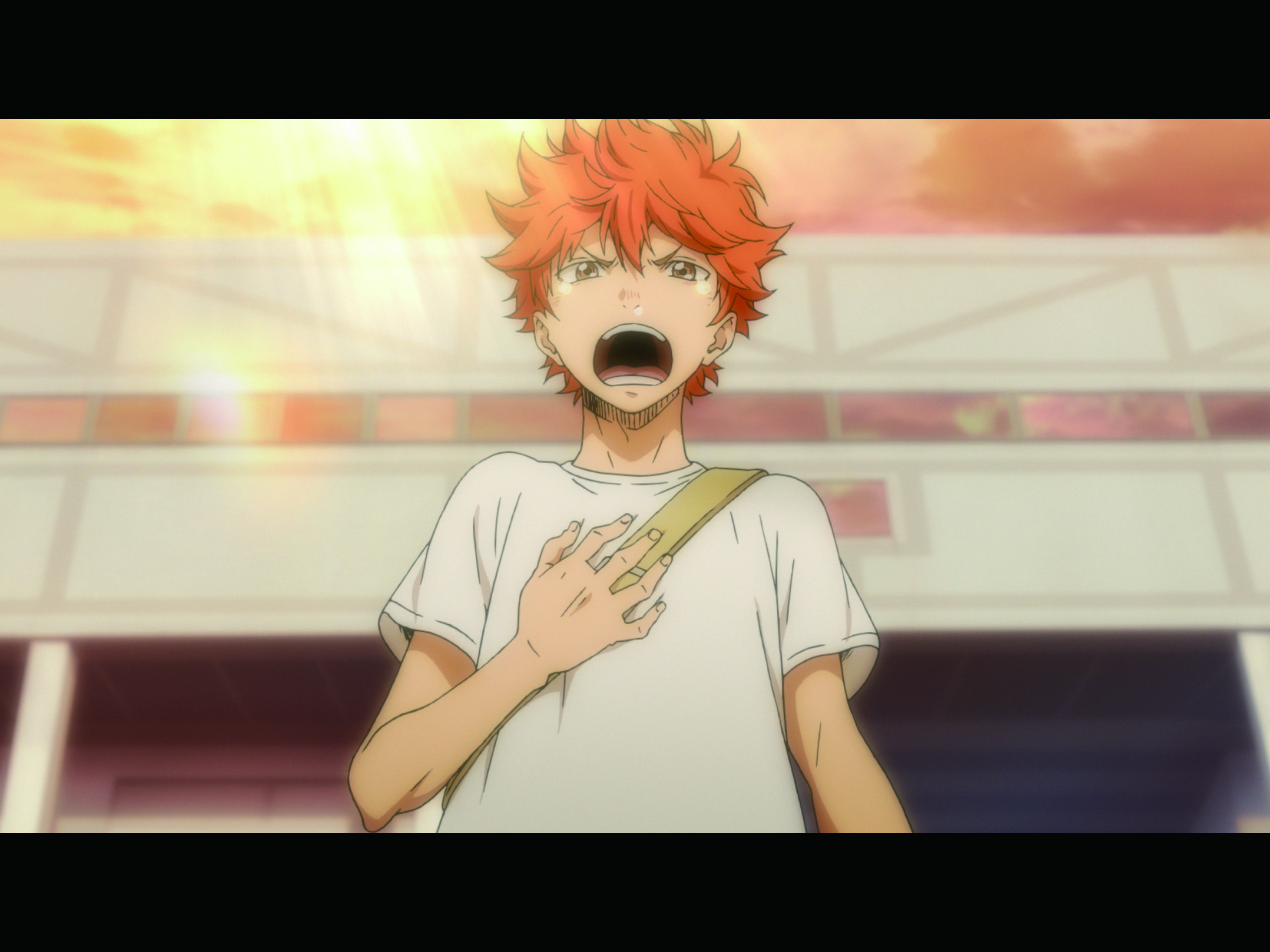 Ou Reprendre Haikyuu Apres La Saison 5 Prime Video: Haikyu!!