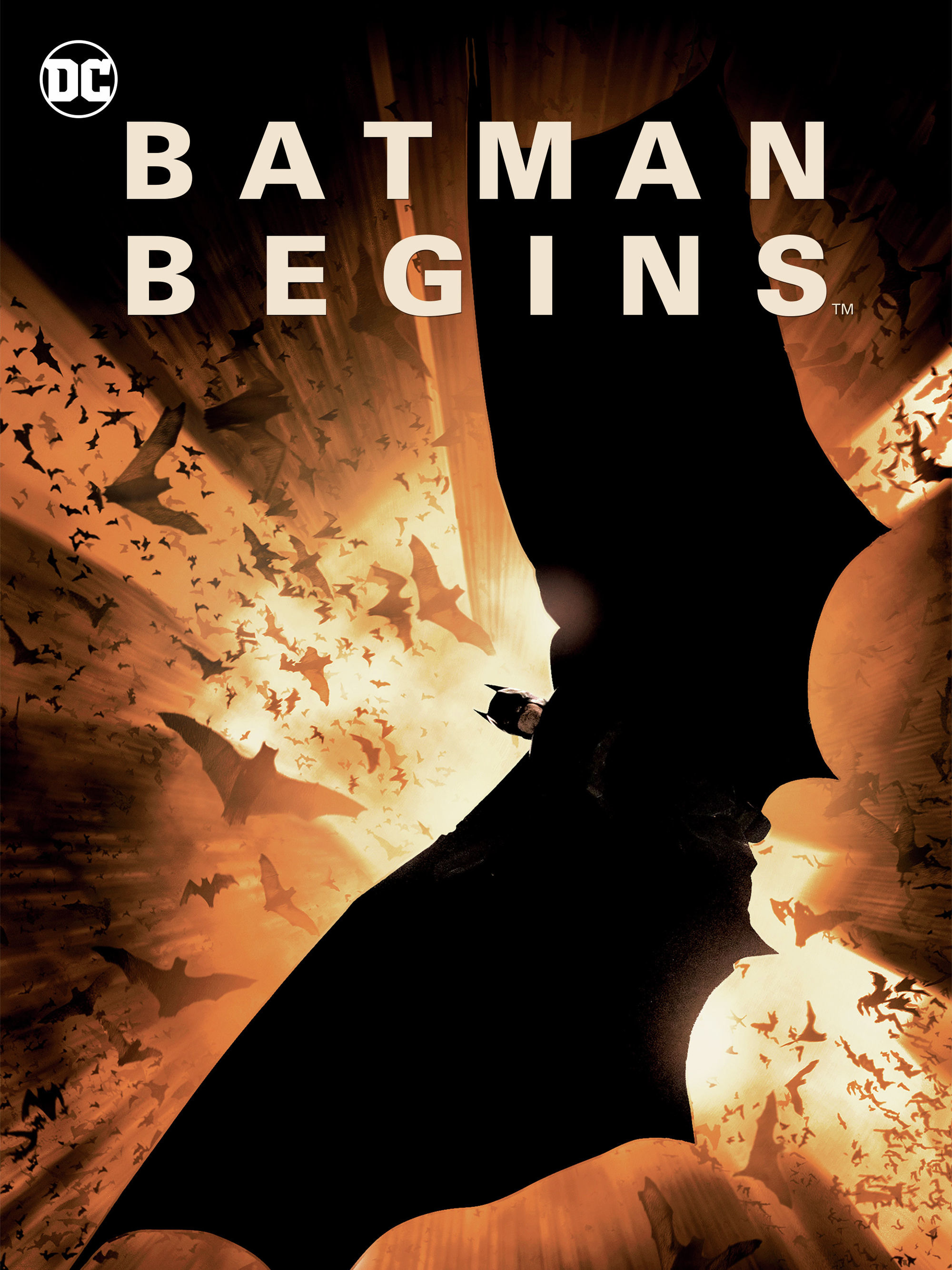 Prime Video Batman Begins
