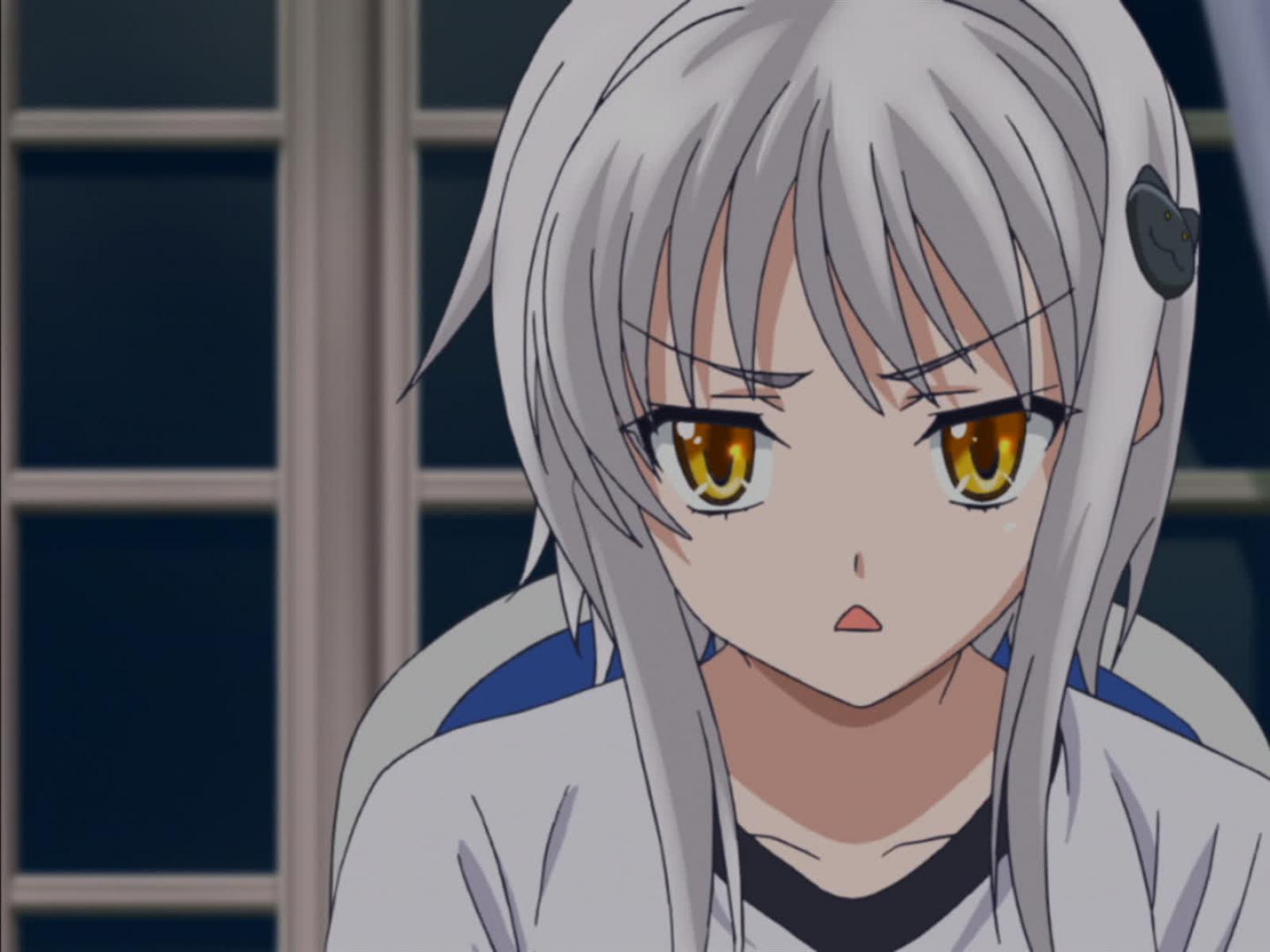 Prime Video High School DxD Season 1