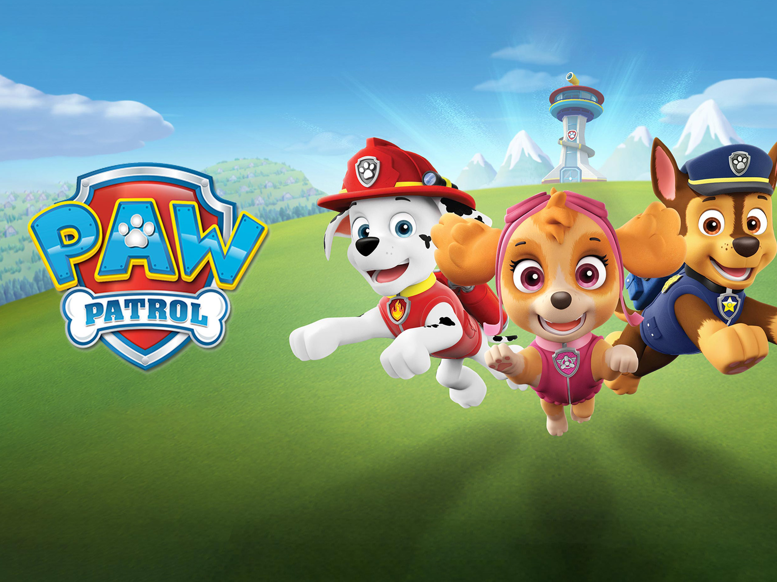 Paw Patrol Season 8 Wikimonkey Names Btd6 - h77whj4
