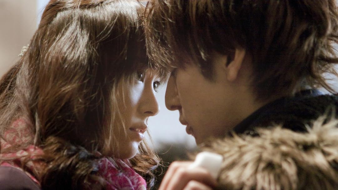 ハナミズキ のサムネイル画像