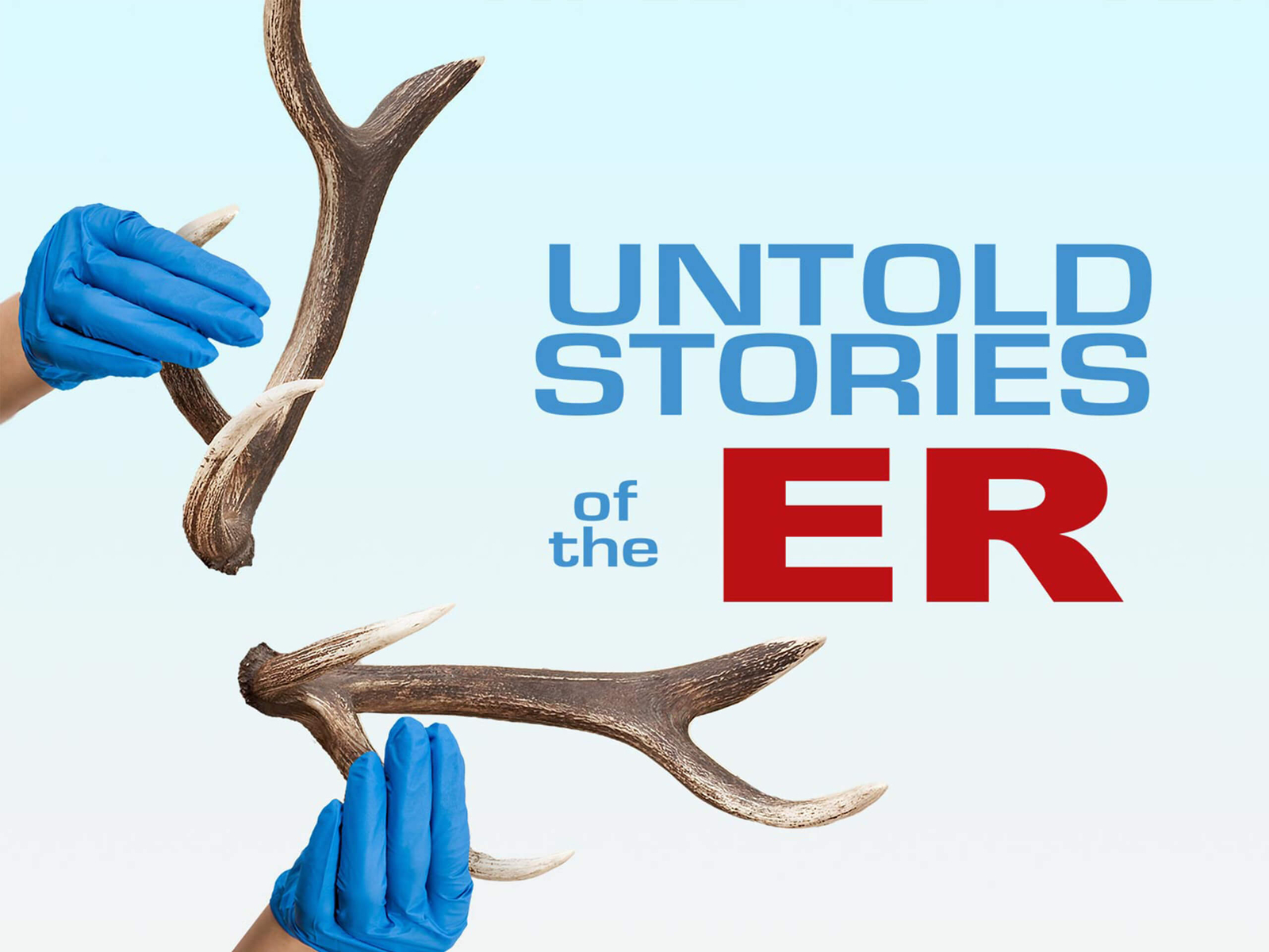 Prime Video Untold Stories of the ER Season 12