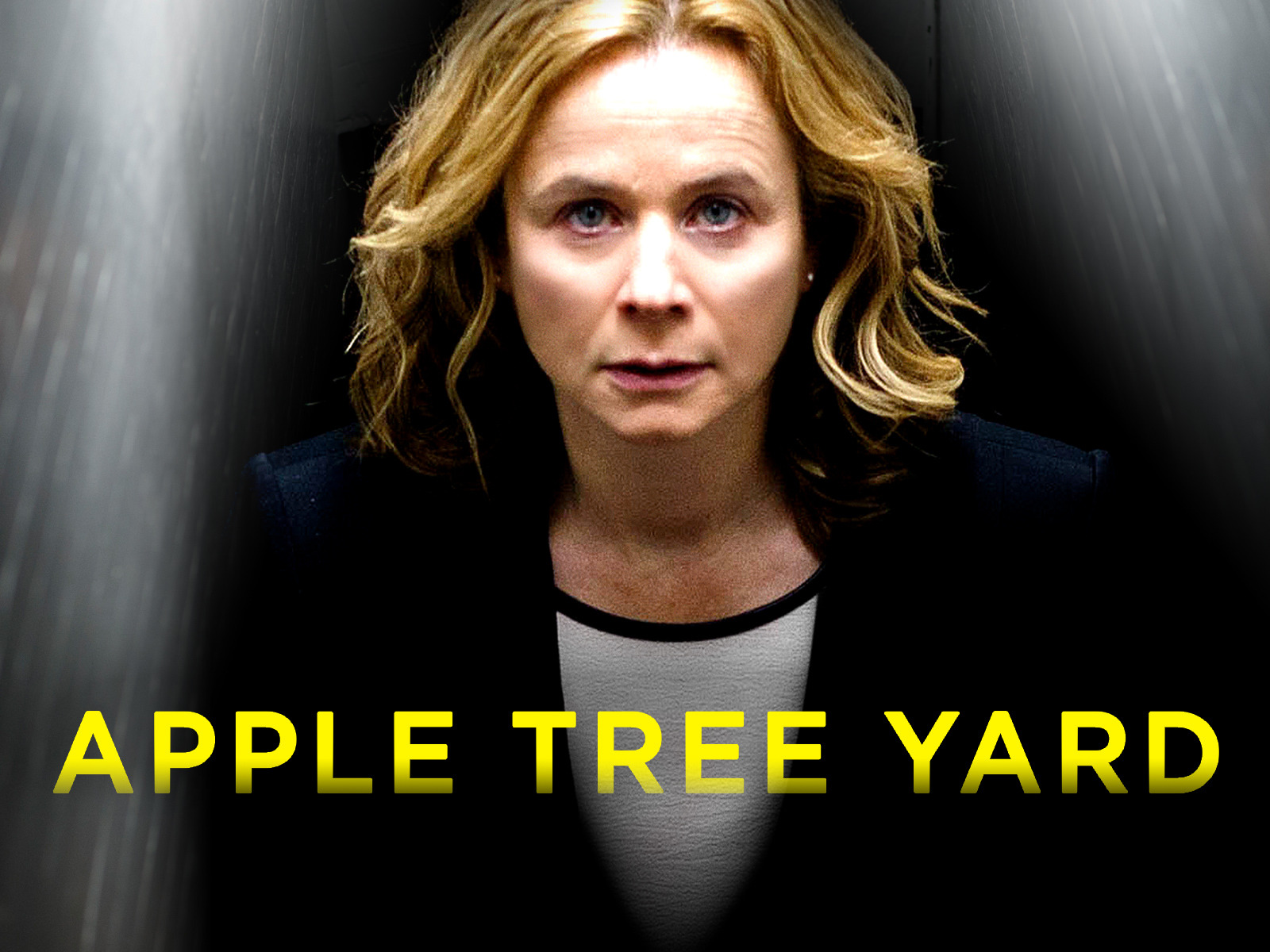 Prime Video Apple Tree Yard Season 1