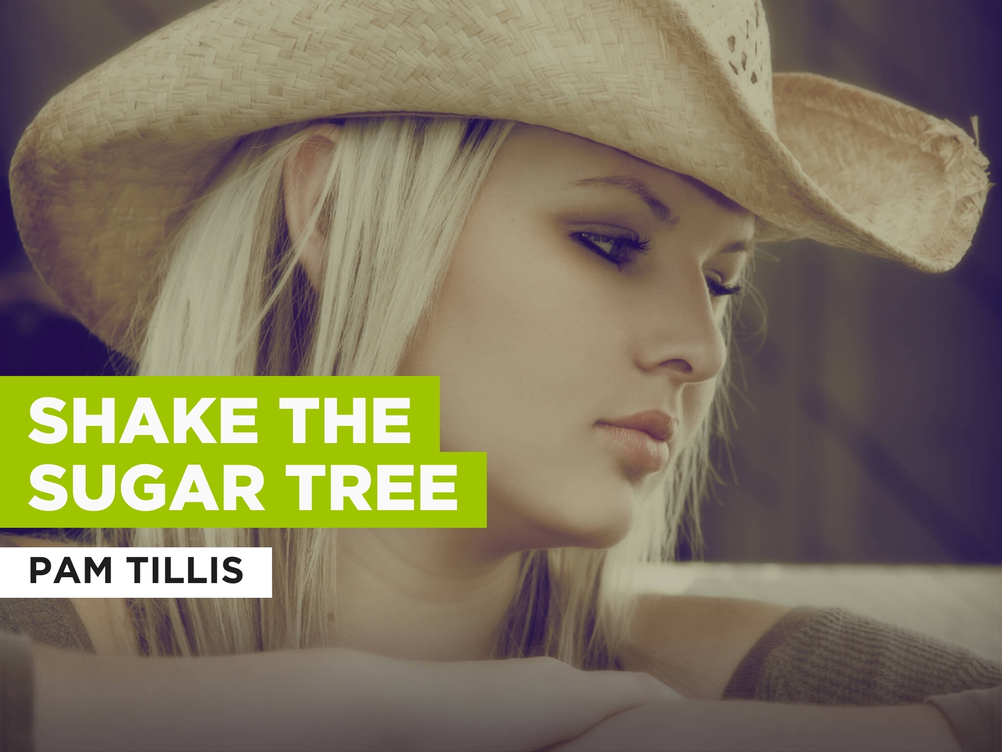 Prime Video Shake The Sugar Tree al estilo de Pam Tillis