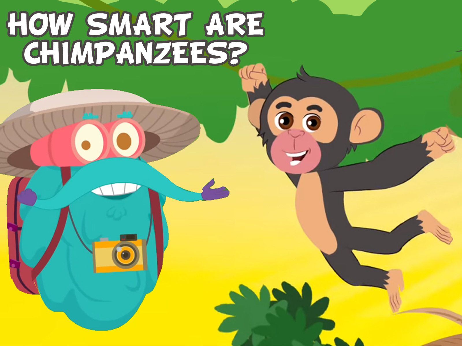 Prime Video The Dr. Binocs Show