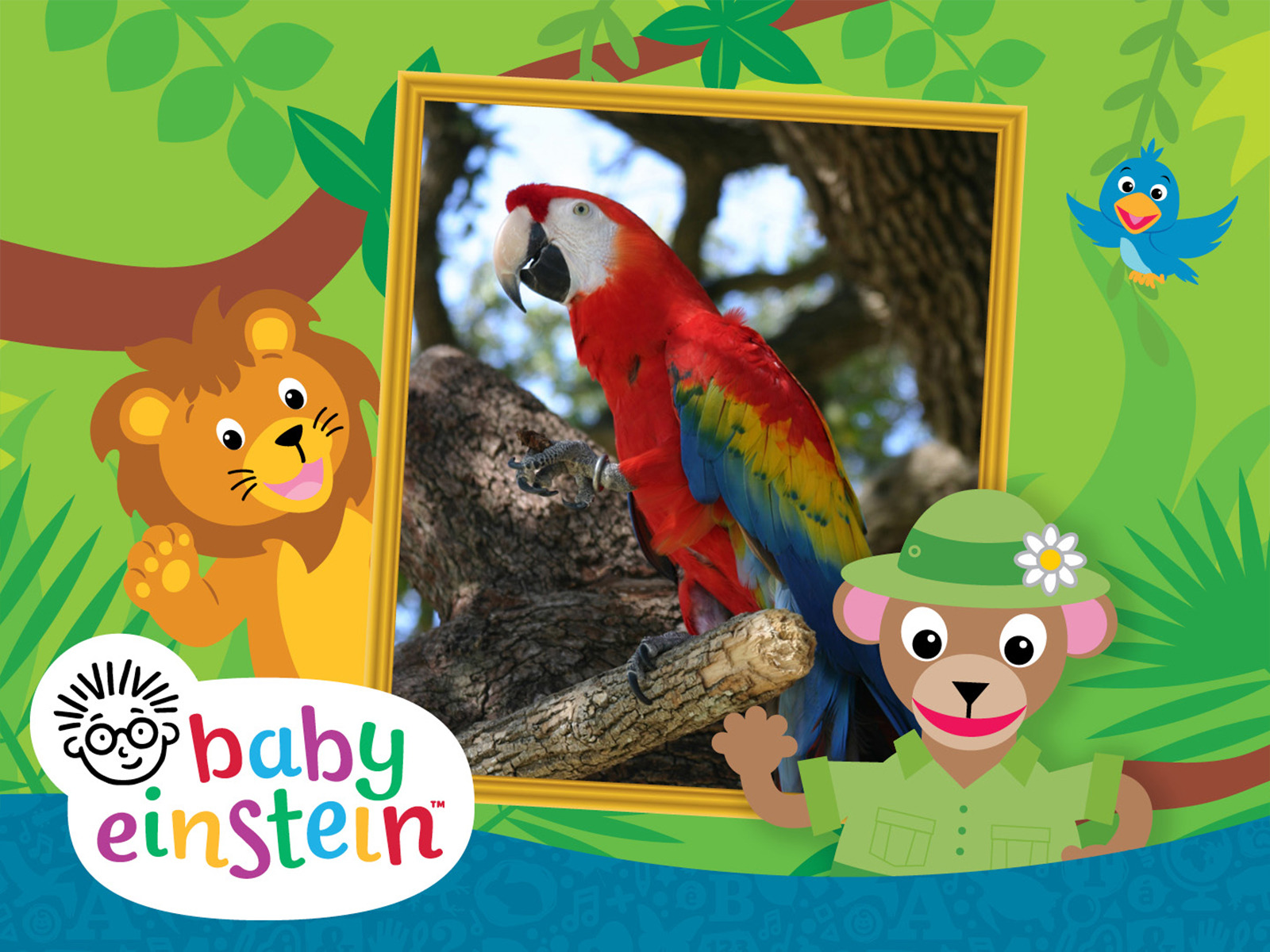 Baby Einstein Book Animals At Maria Spillman Blog