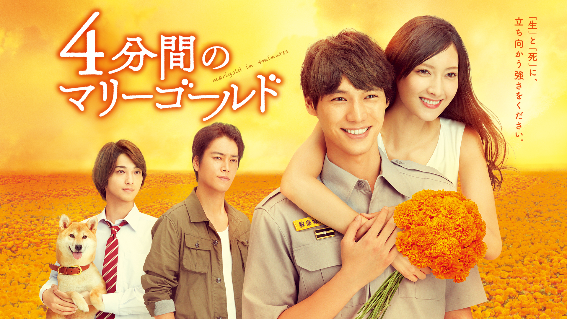 Amazon Co Jp 4分間のマリーゴールドを観る Prime Video