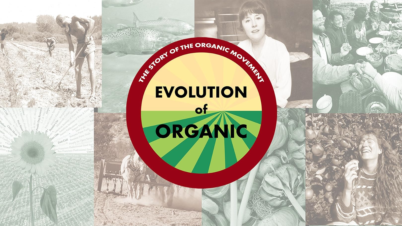 Prime Video Evolution Of Organic