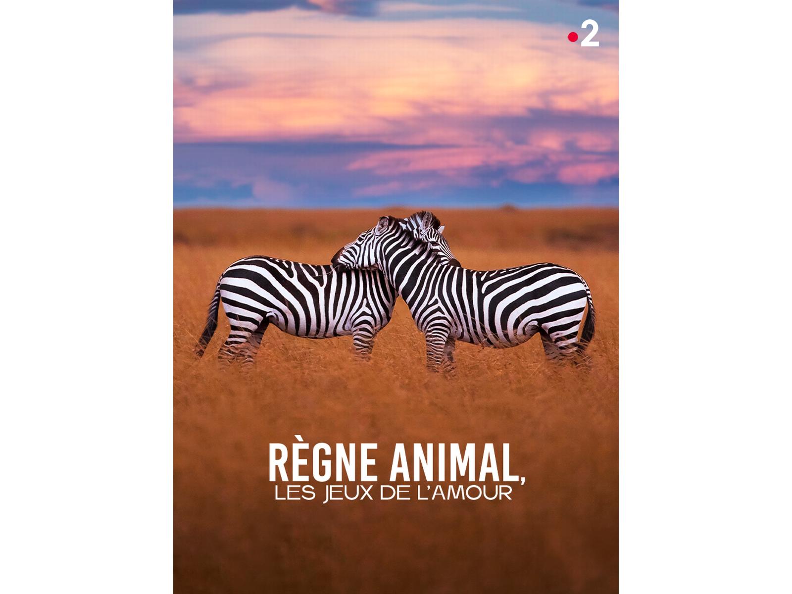 Prime Video: Règne animal, les jeux de l'amour - Saison 1