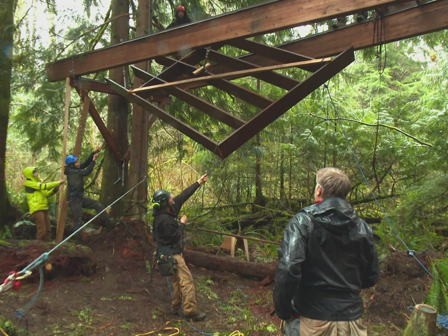 Prime Video Treehouse Masters Season 5