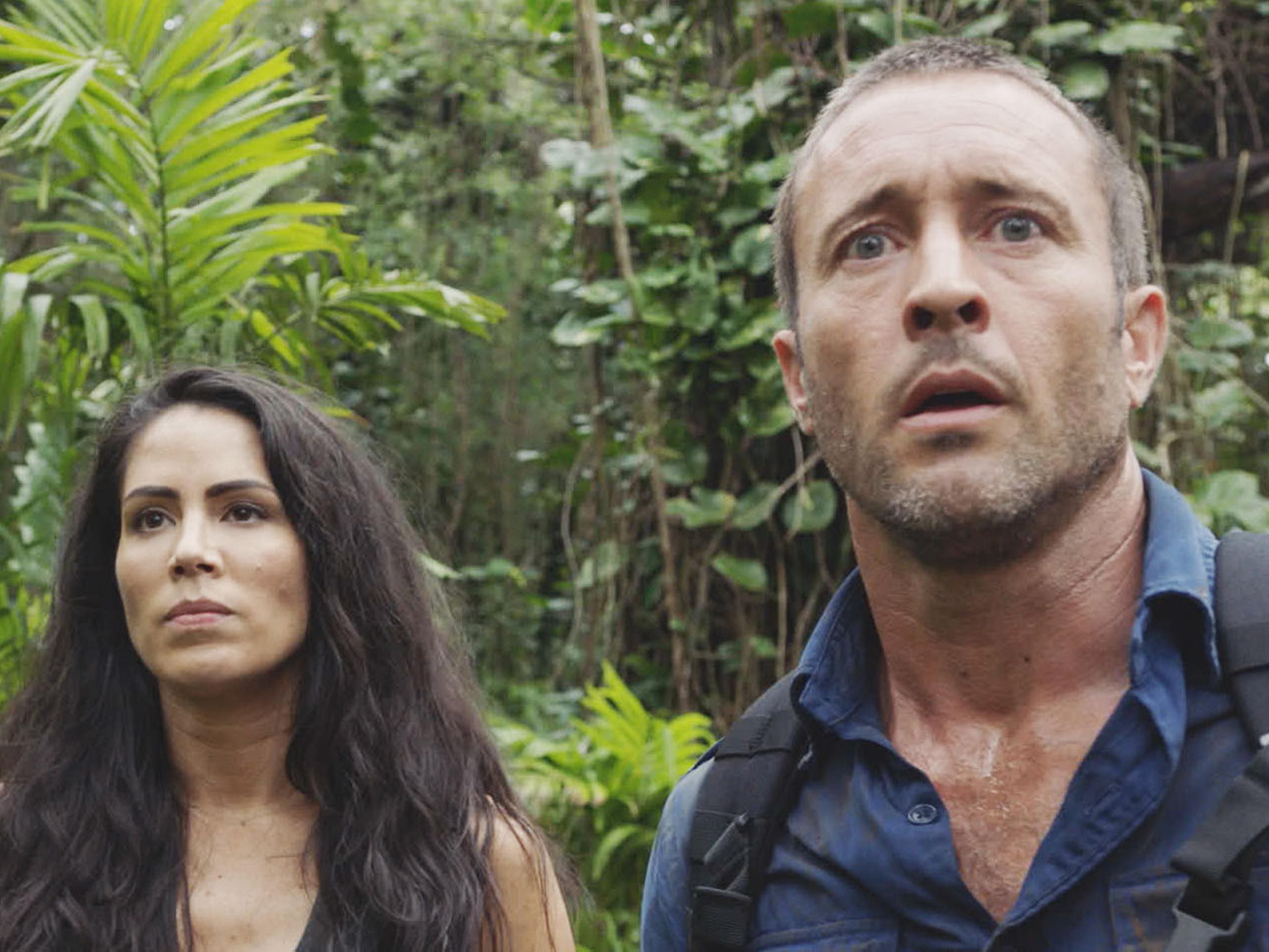Prime Video: Hawaii 5-0 - Saison 8