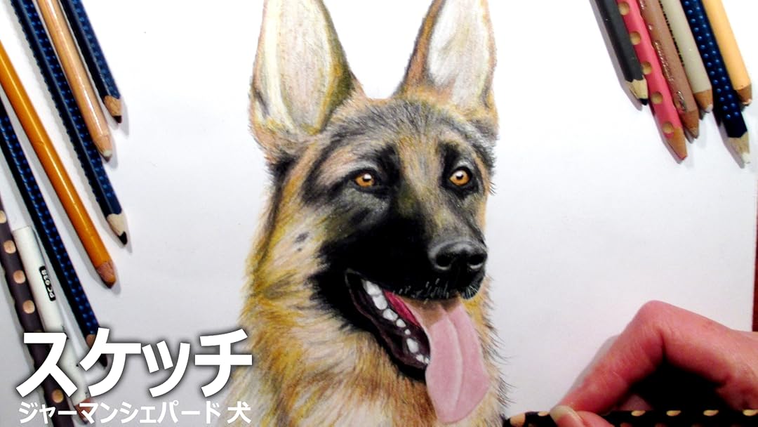 Amazon Co Jp ビデオクリップ スケッチ ジャーマンシェパード 犬を観る Prime Video Amazon Co Jp ビデオクリップ スケッチ ジャーマンシェパード 犬を観る Prime Video