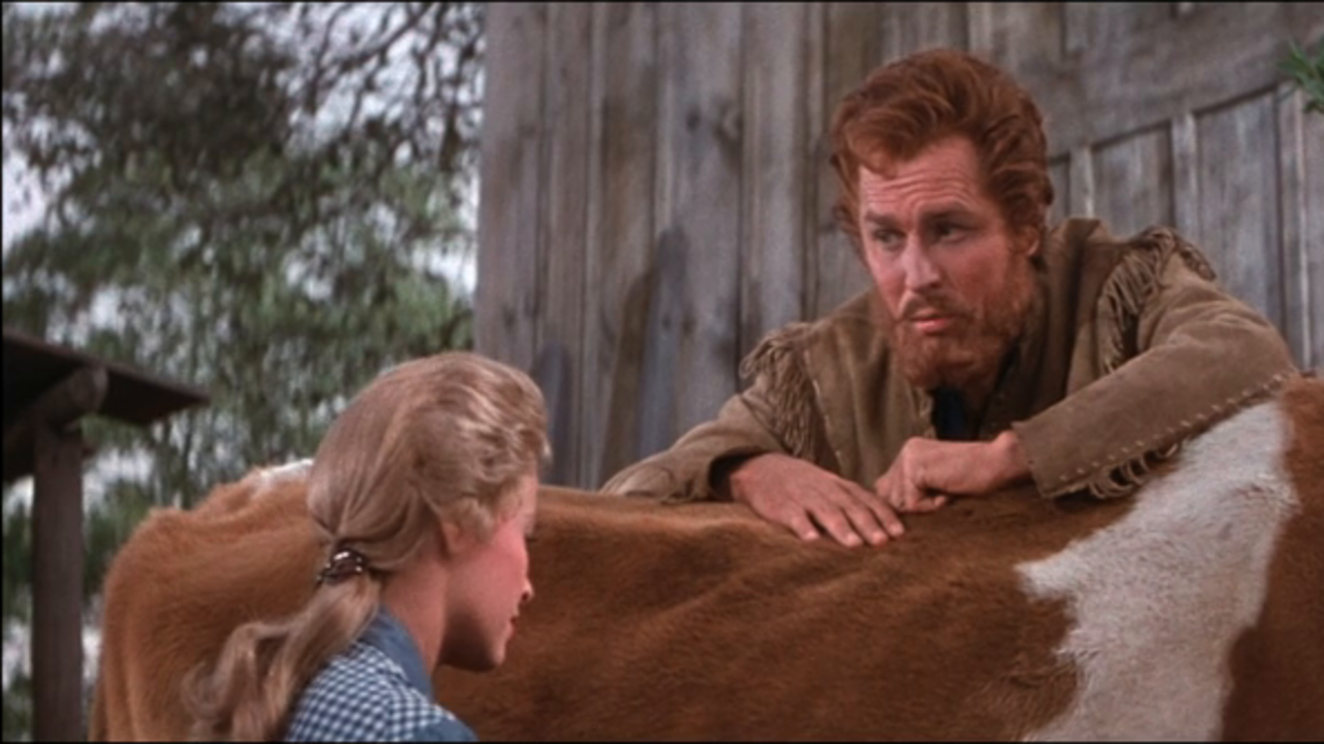 9924953bb8c081248e289c59bf5fca855b456a4b