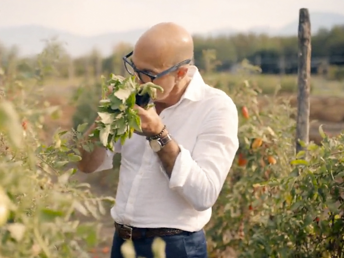 Prime Video Stanley Tucci Searching For Italy Season 1