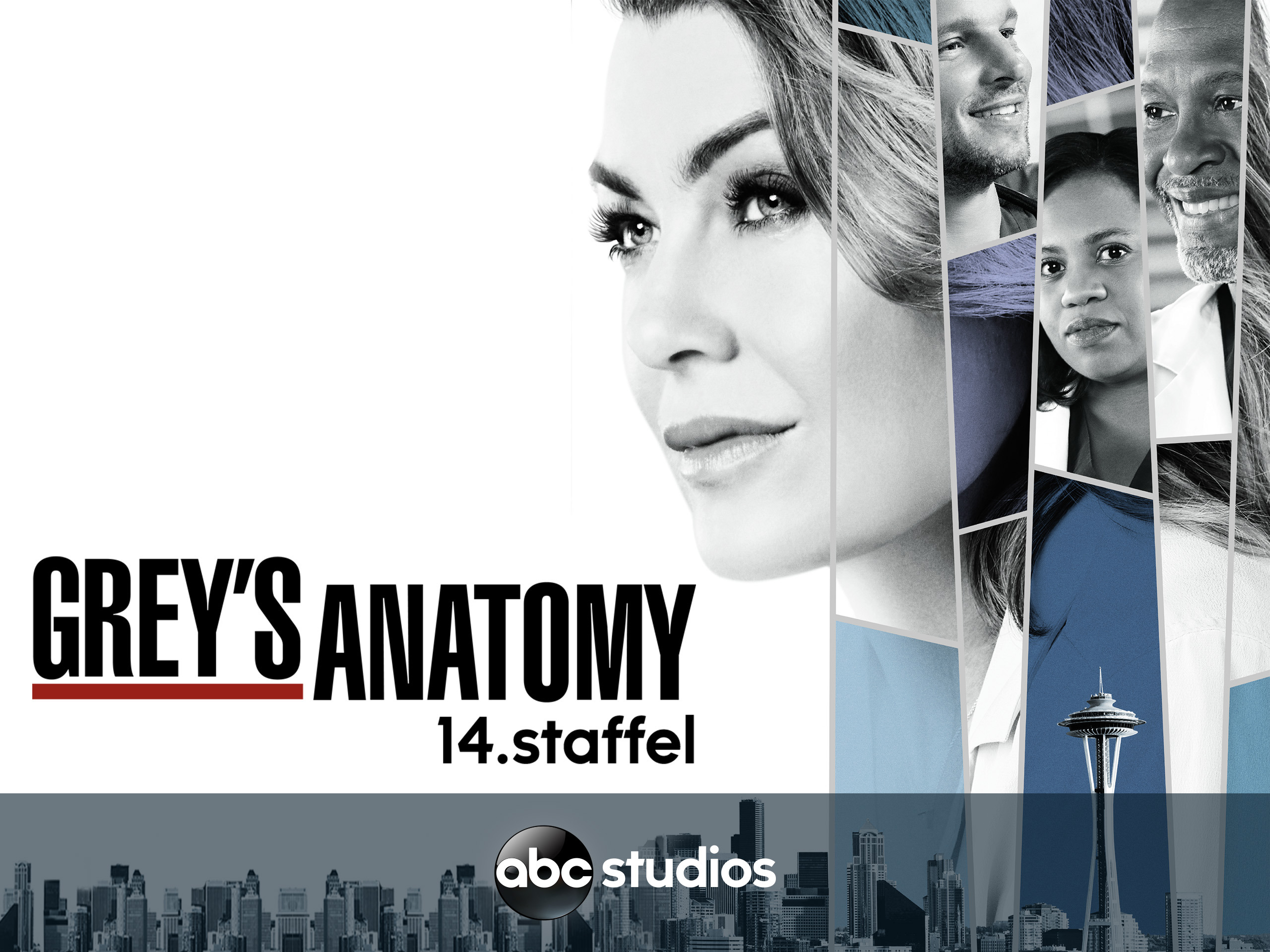 Prime Video: Grey's Anatomy - Staffel 14 [dt./OV]