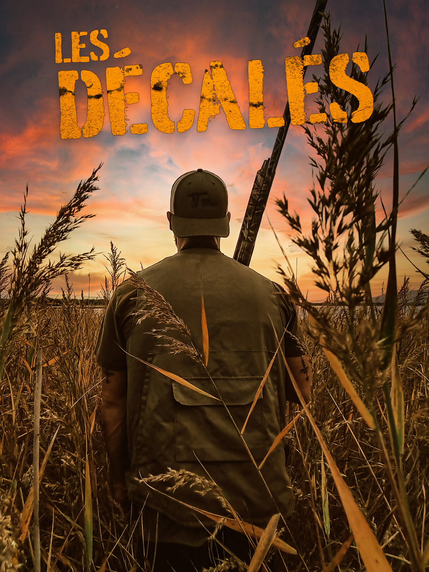 LES DESALES visual data 6