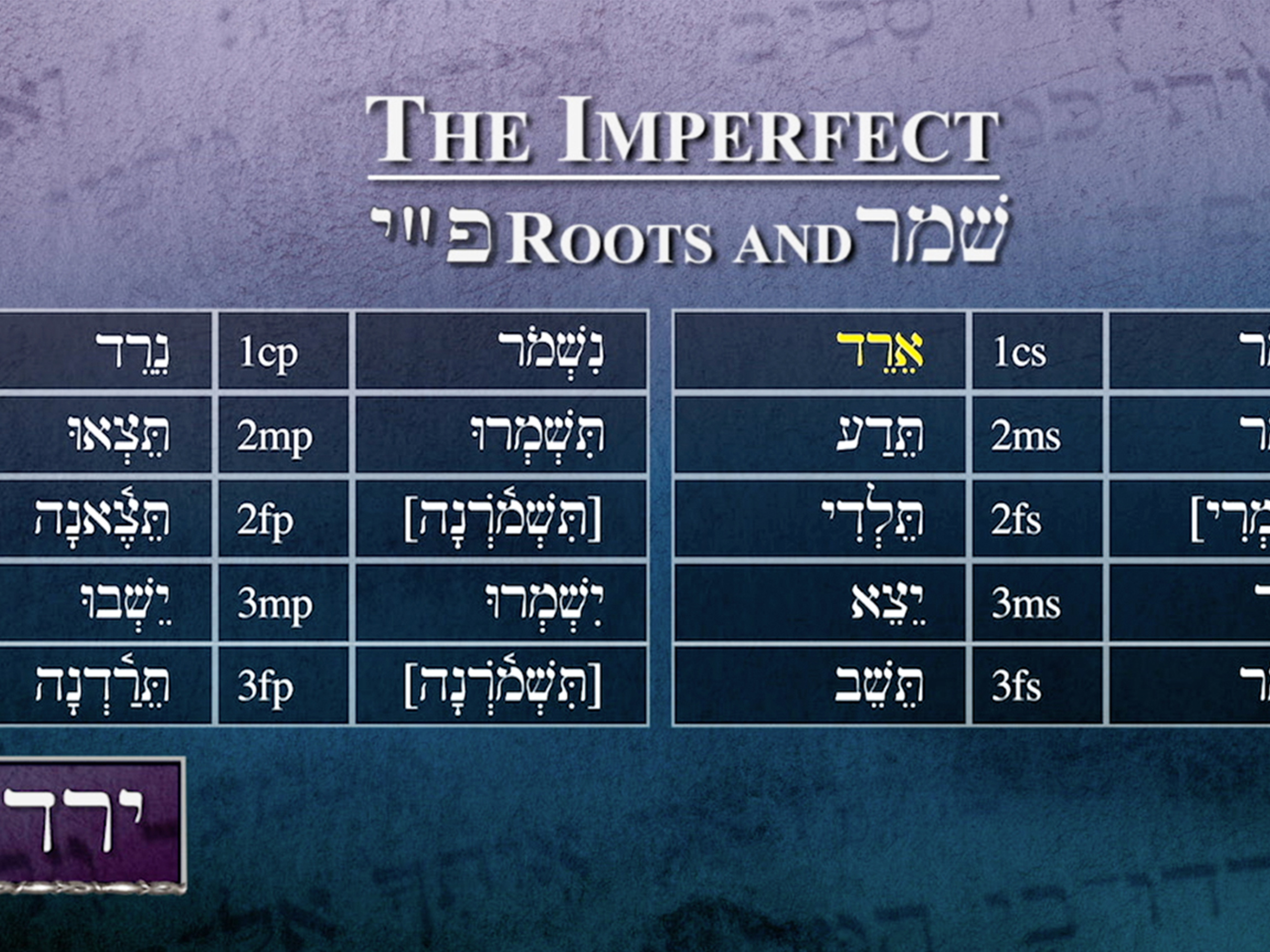 Prime Video Biblical Hebrew Learning a Sacred Language