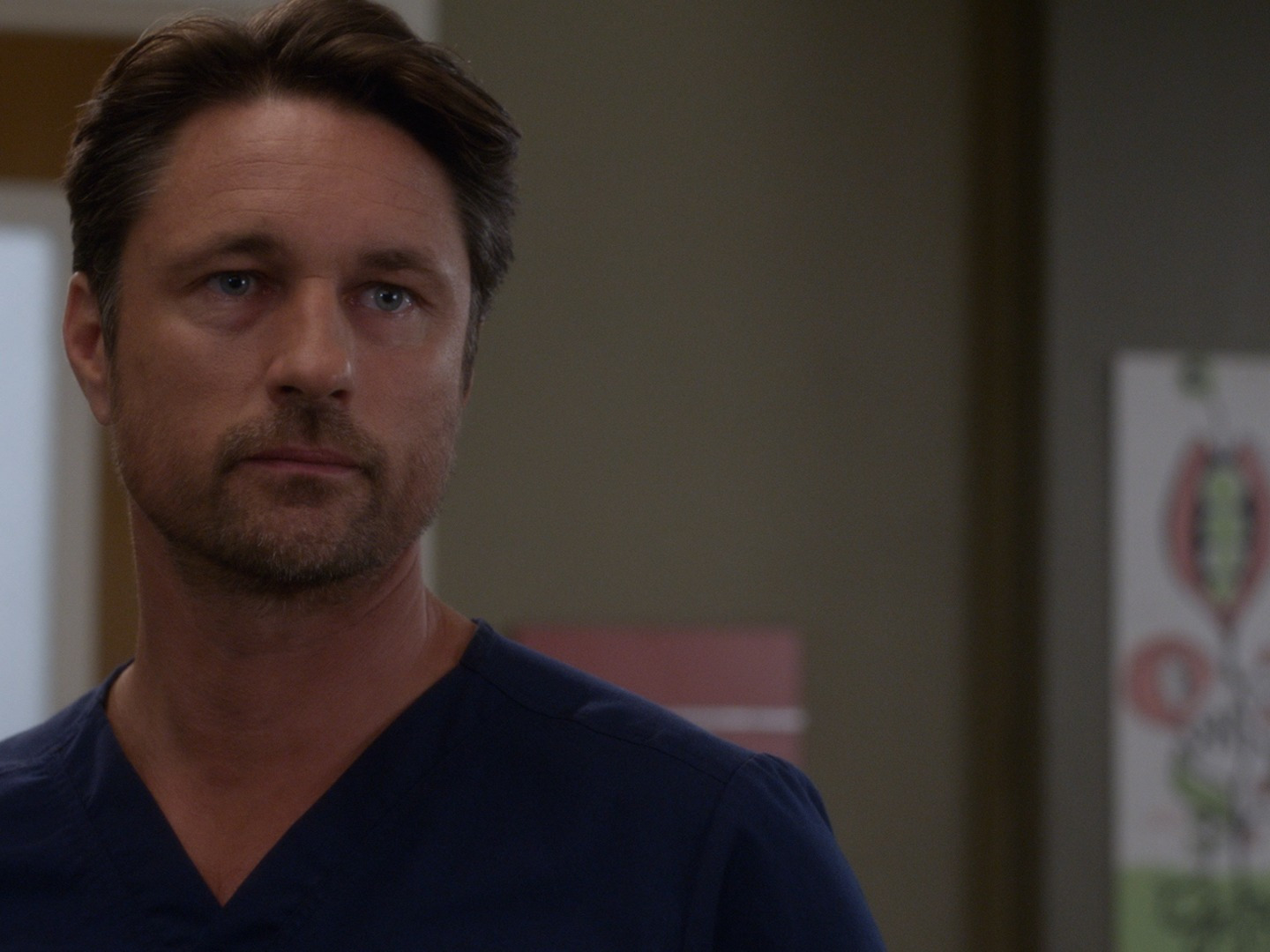 Prime Video: Grey's Anatomy - Season 12