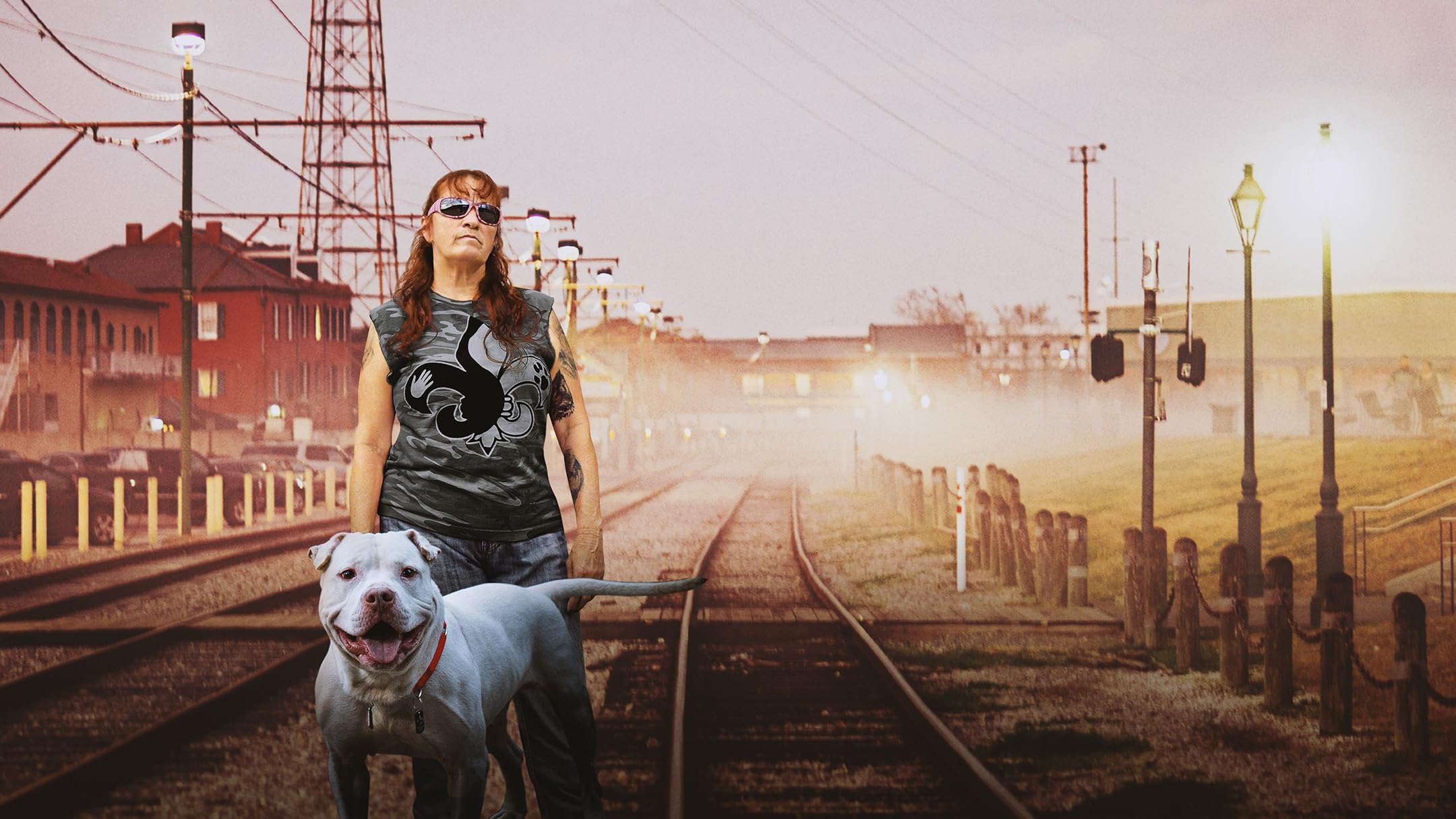 Amazon.de: Pitbulls auf Bewährung - Season 17 ansehen | Prime Video