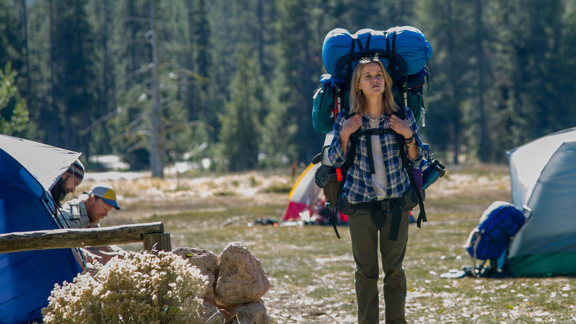 Prime Video: Wild