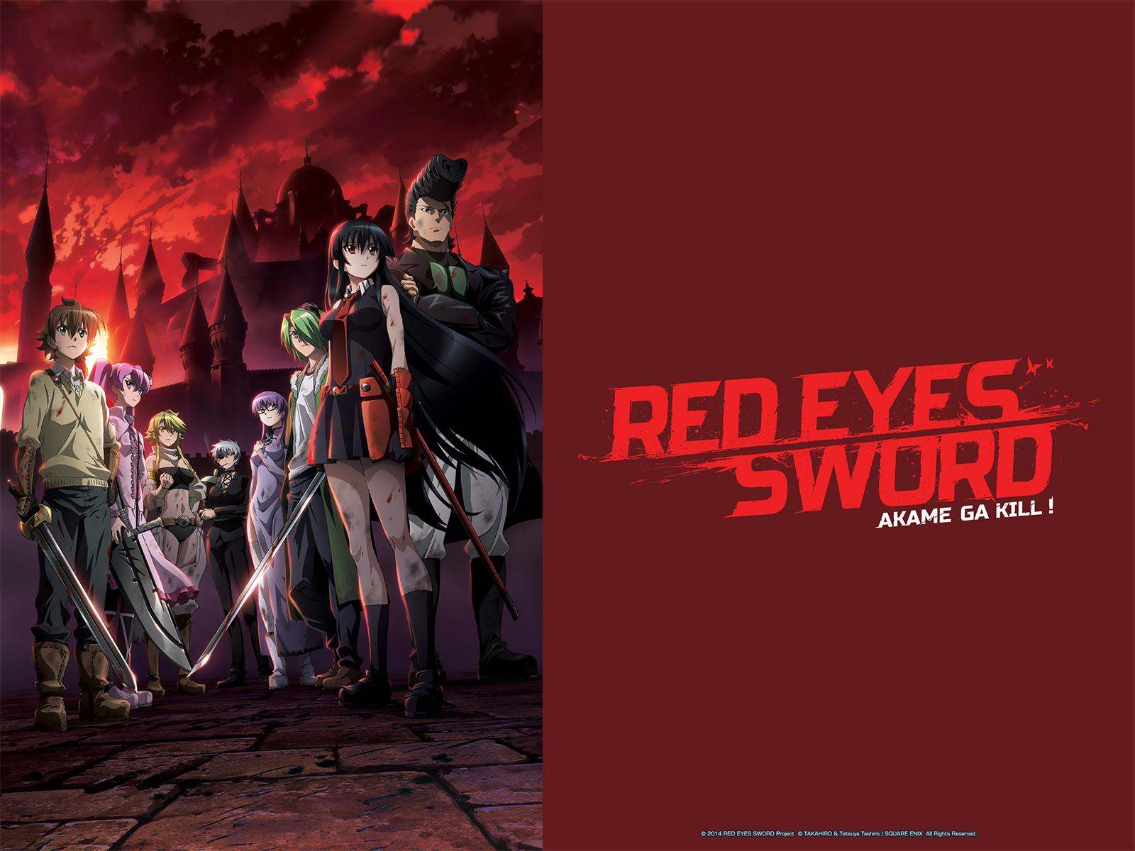 Prime Video: Red Eyes Sword : Akame ga Kill