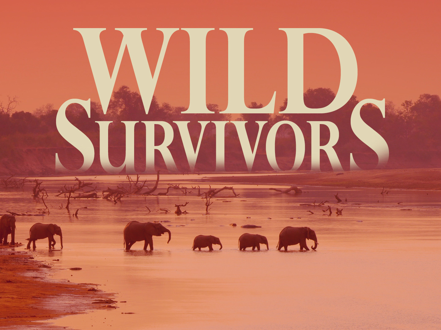 Prime Video: Wild Survivors - Season 1