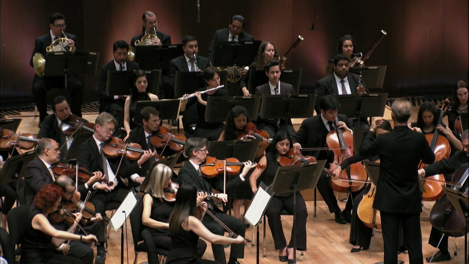 Prime Video Beethoven Symphony No. 2