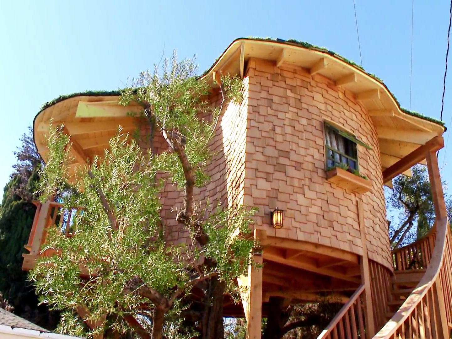 Prime Video Treehouse Masters Season 1