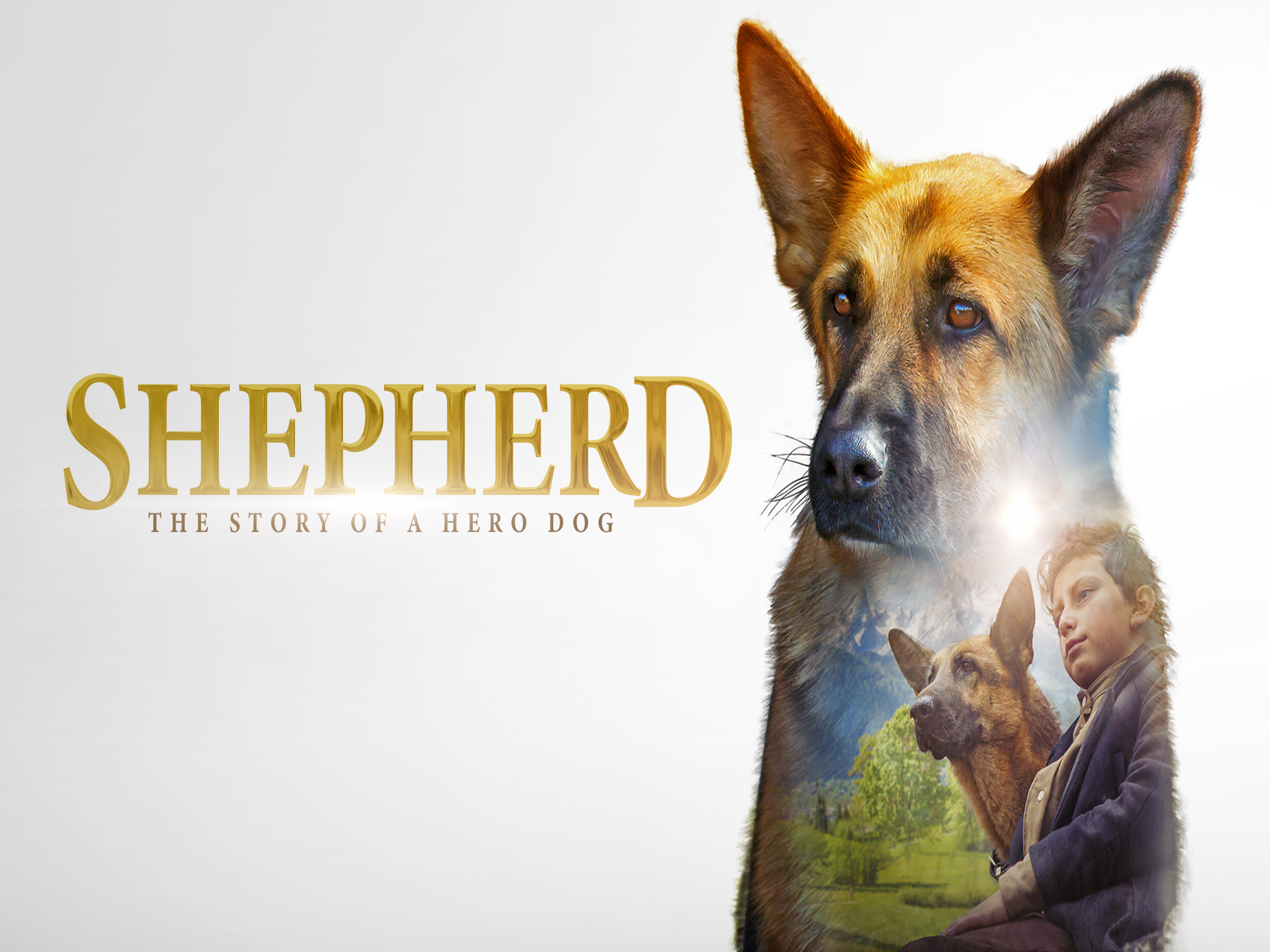 Dog Movie Parents Guide - swdgew8