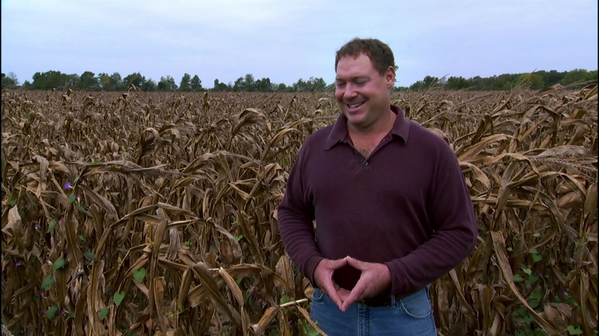 Amazon.co.jp フード・インクを観る Prime Video