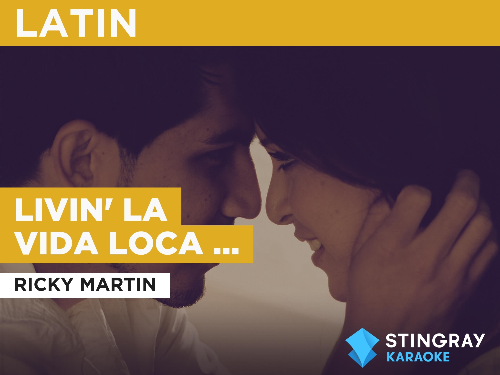 Ricky Martin Livin La Vida Loca Spanish Version